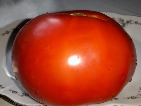 Медвежий ручей